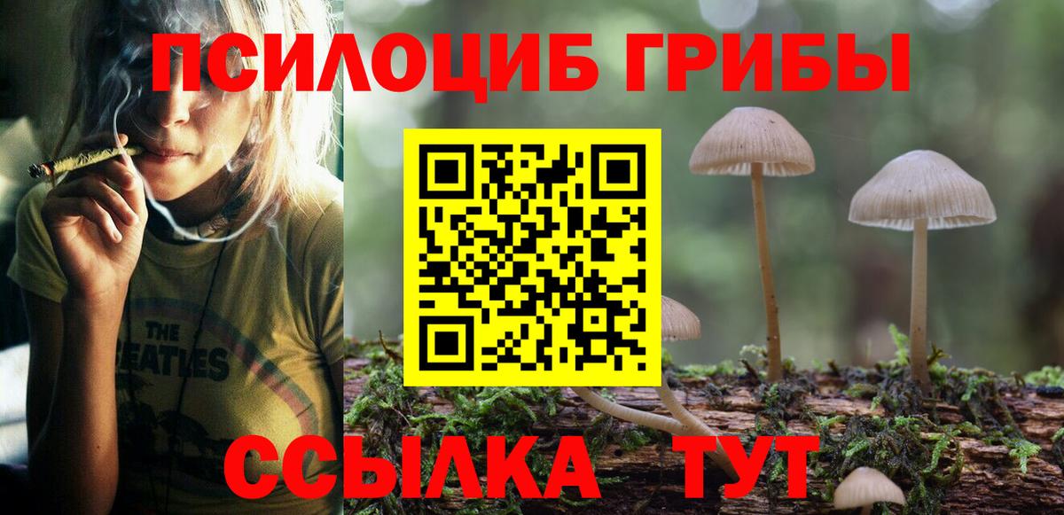 Галлюциногенные грибы мухоморы Острогожск